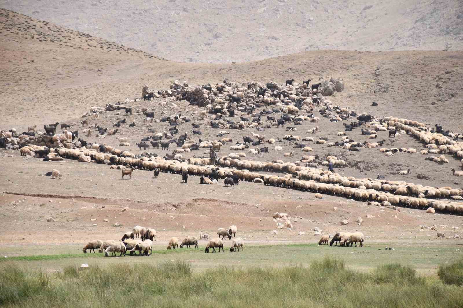 Göçerler yayladan inmeye başladı
