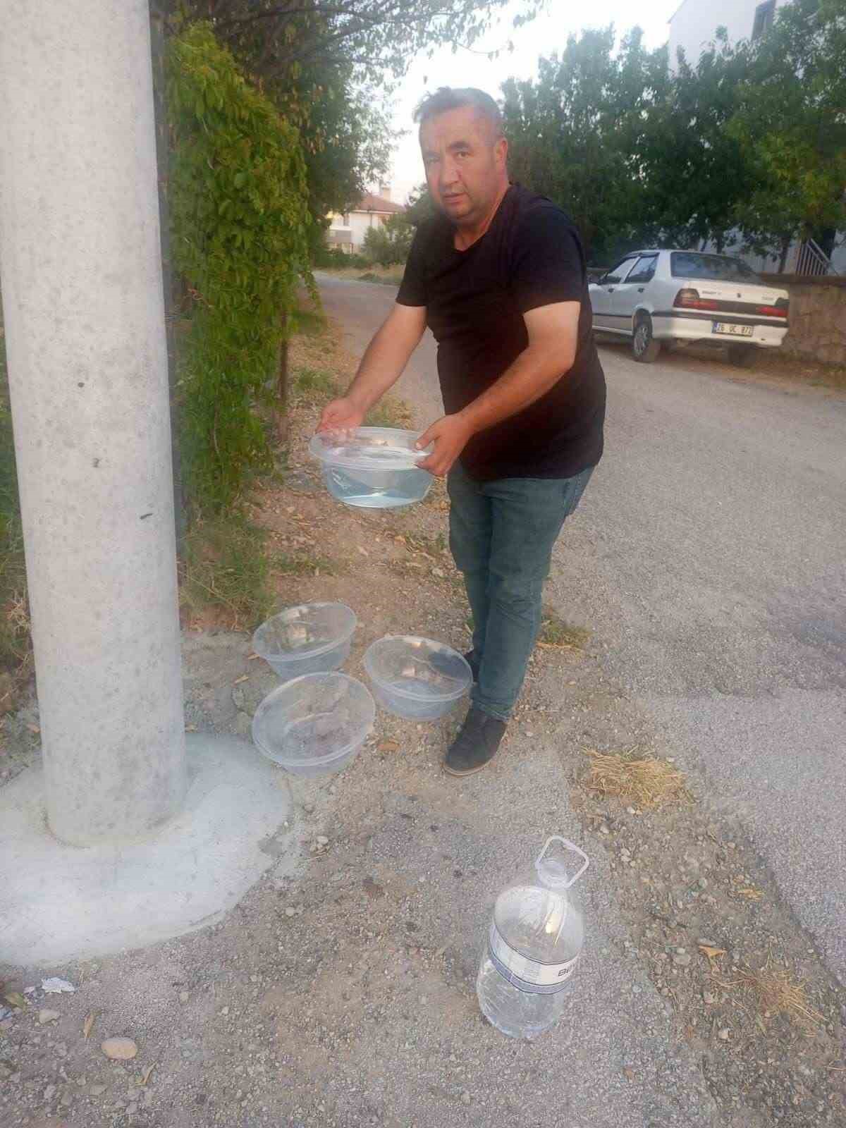 Mahalle muhtarından sokak hayvanlarına y&ouml;nelik &ouml;rnek &ccedil;alışma
