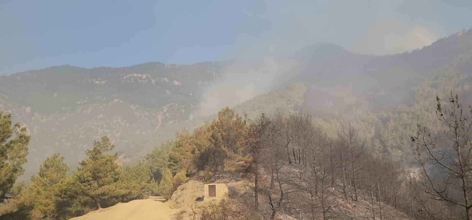 Hassa&rsquo;da &ccedil;ıkan orman yangını kontrol altına alındı
