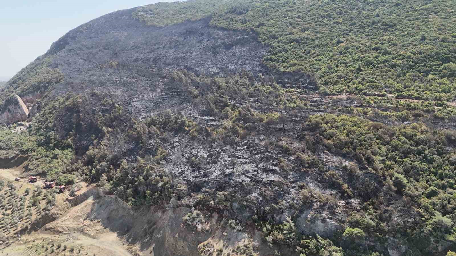 Yayladağı’nda çıkan orman yangını kontrol altına alındı