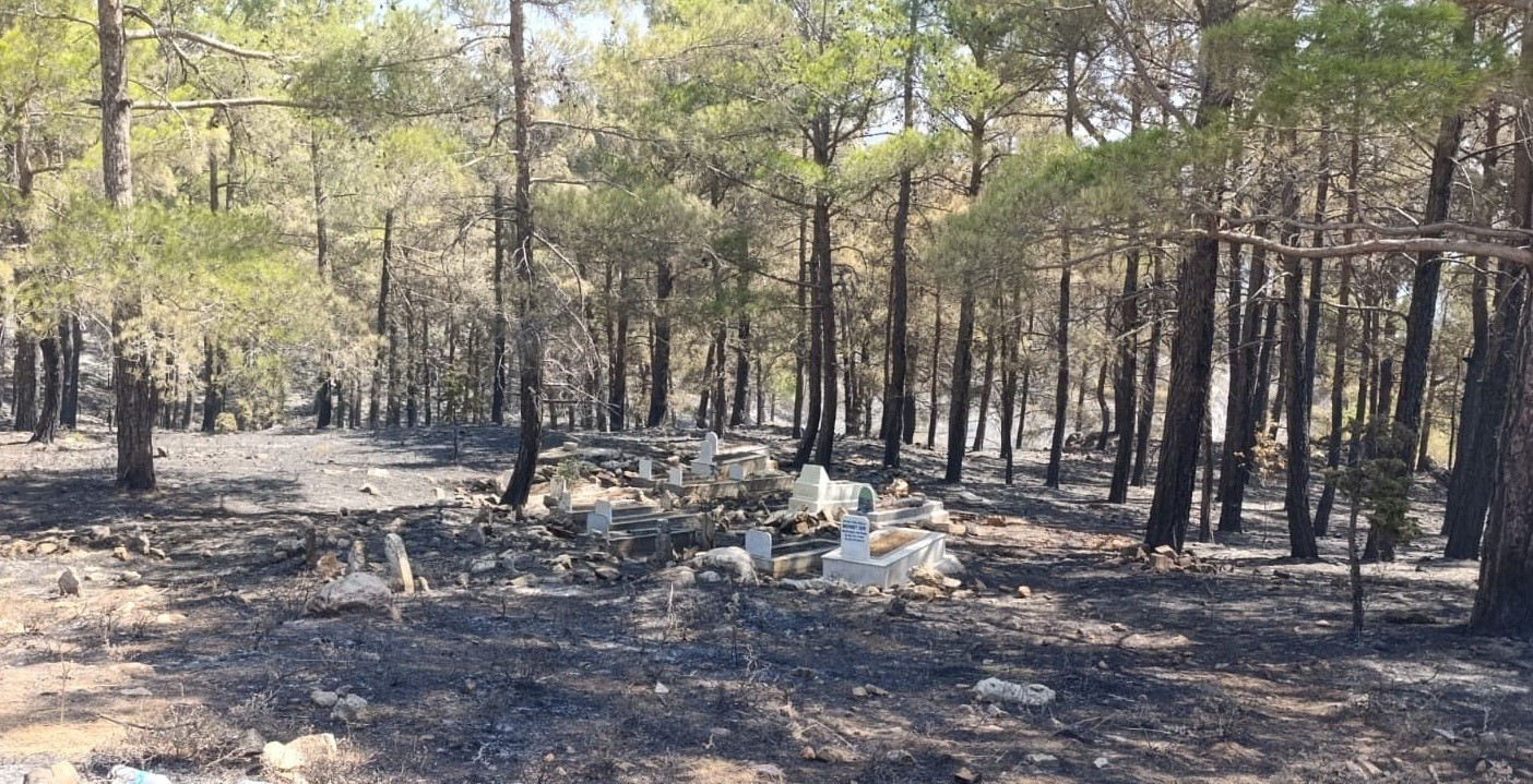 Orman yangınında mezarlık yandı, alevler Işık Dede&rsquo;nin kabrinde durdu
