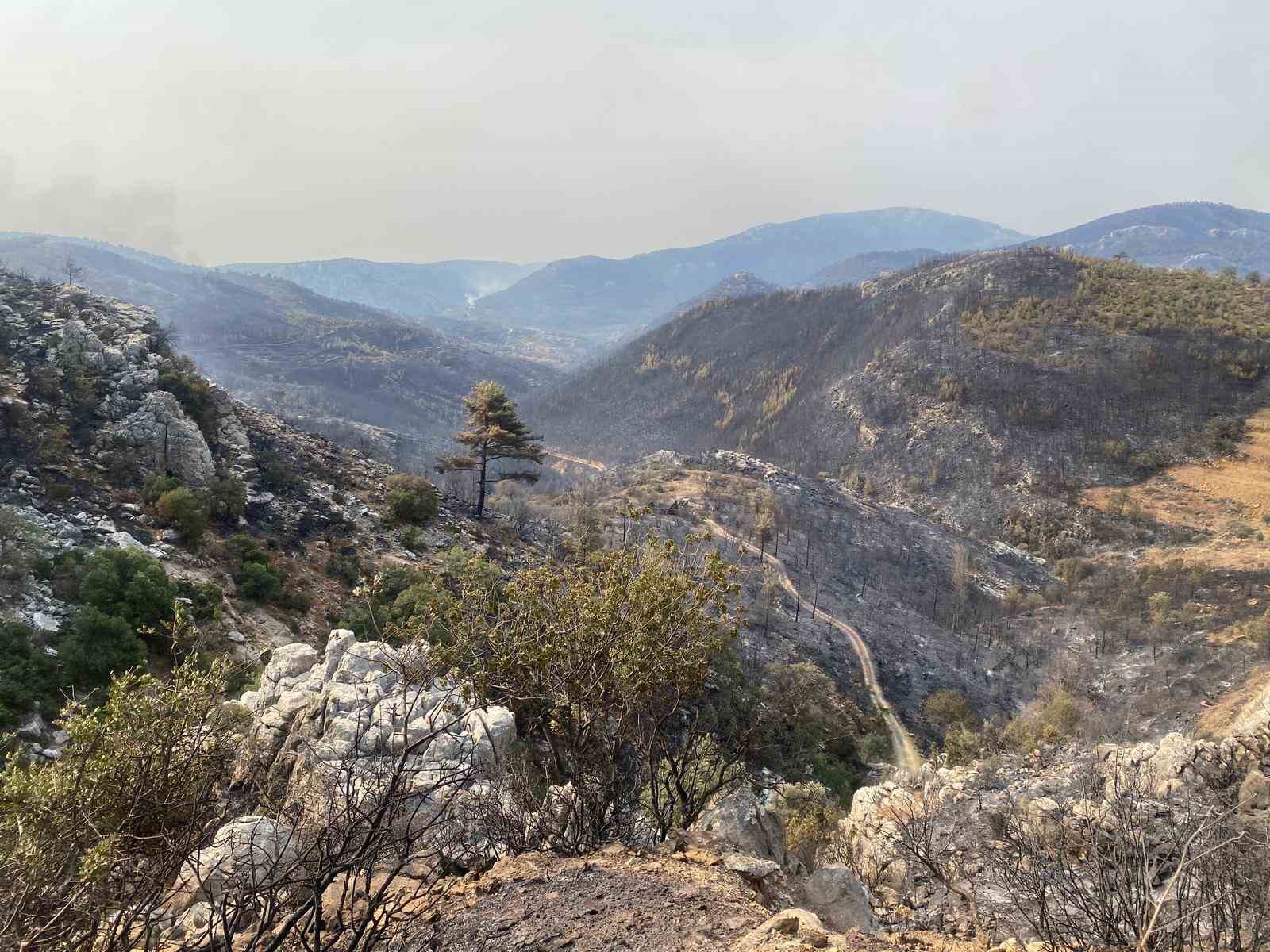 Mersin Silifke’de yangın büyük ölçüde kontrol altına alındı