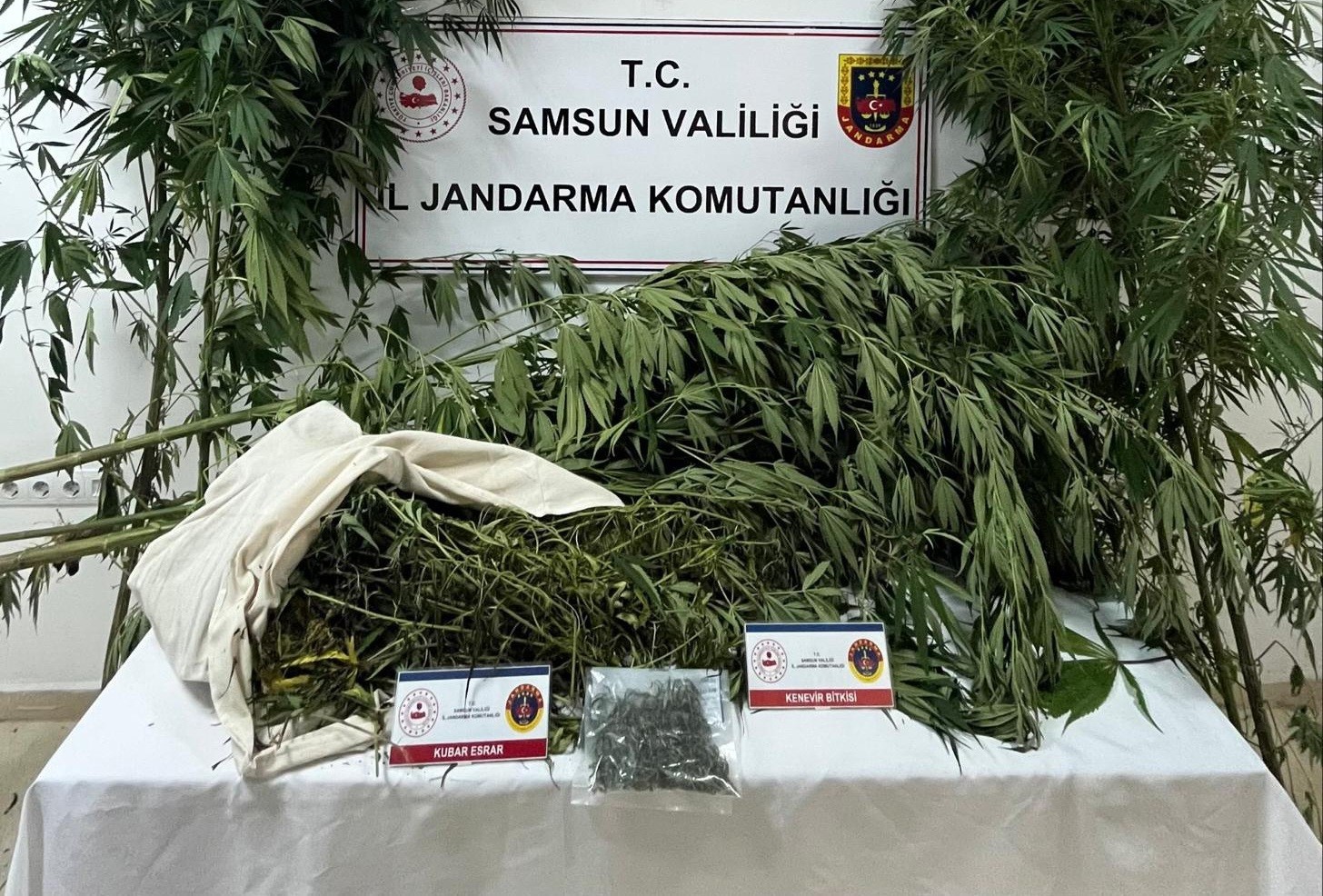 Samsun’da jandarma kenevir ve kubar esrar ele geçirdi