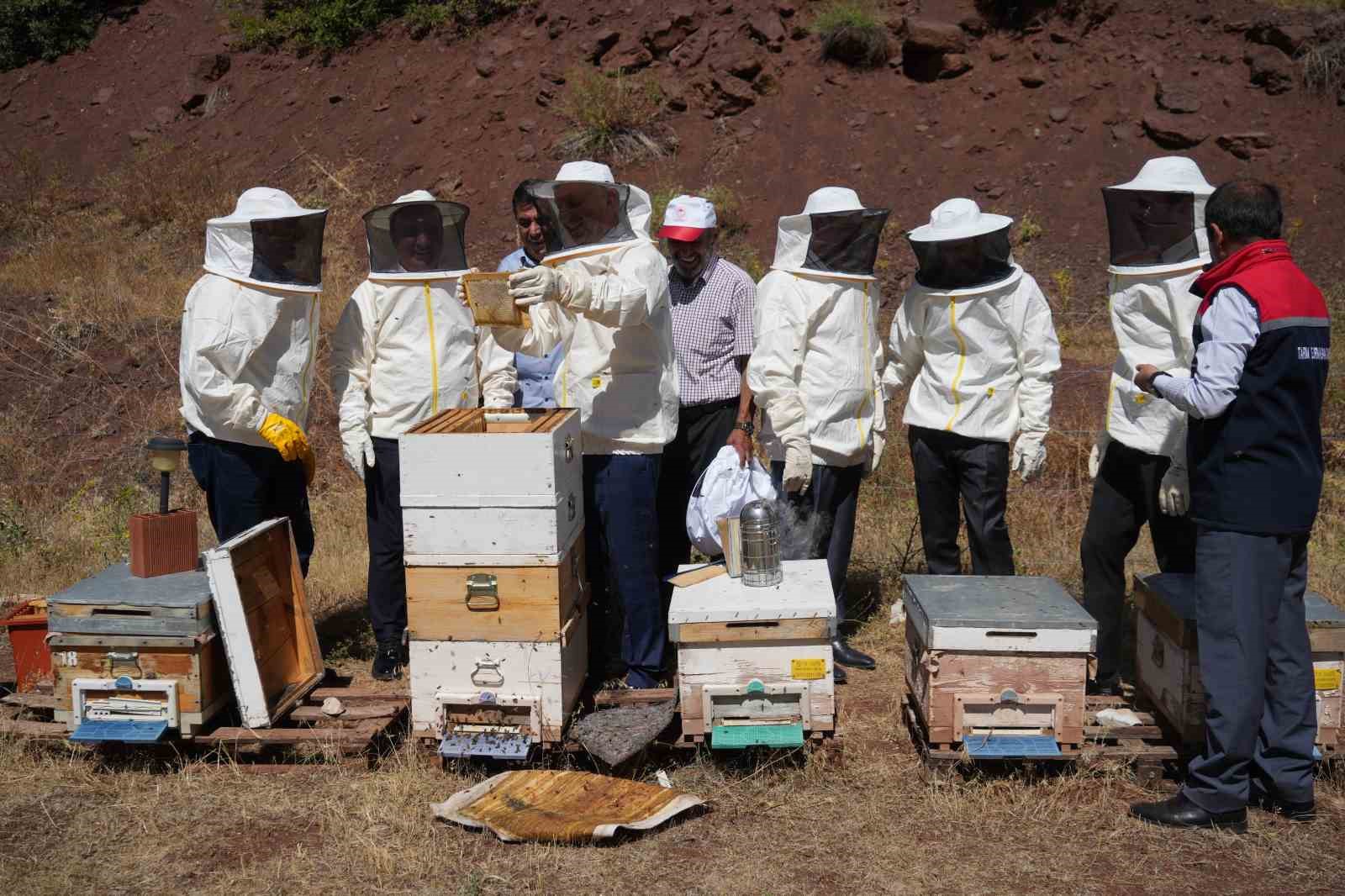 Erzincan’da Geven Balı hasadı yapıldı