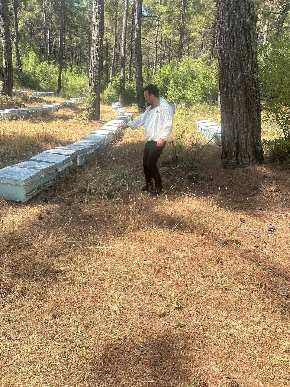 Menteşe’de 2025 arılı kovan destekleme tespitleri başladı