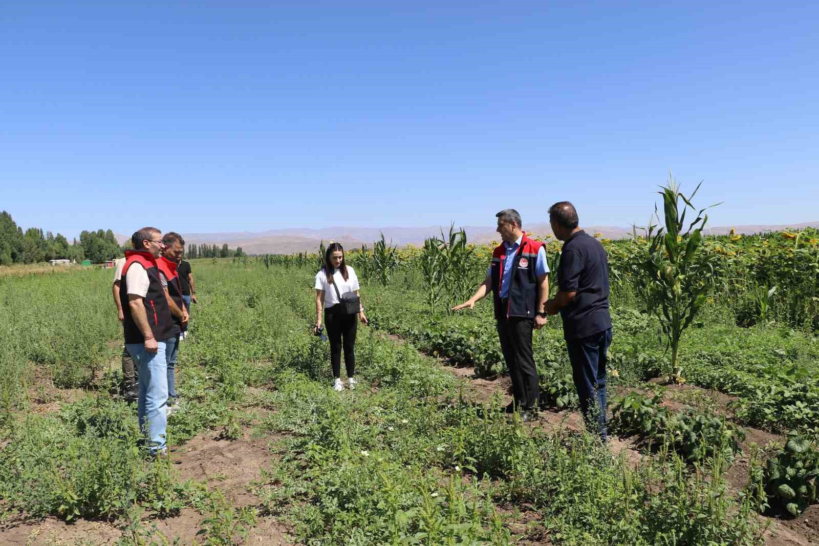 Ağrı&rsquo;da hibeli sebze fidesi desteği denetimleri s&uuml;r&uuml;yor
