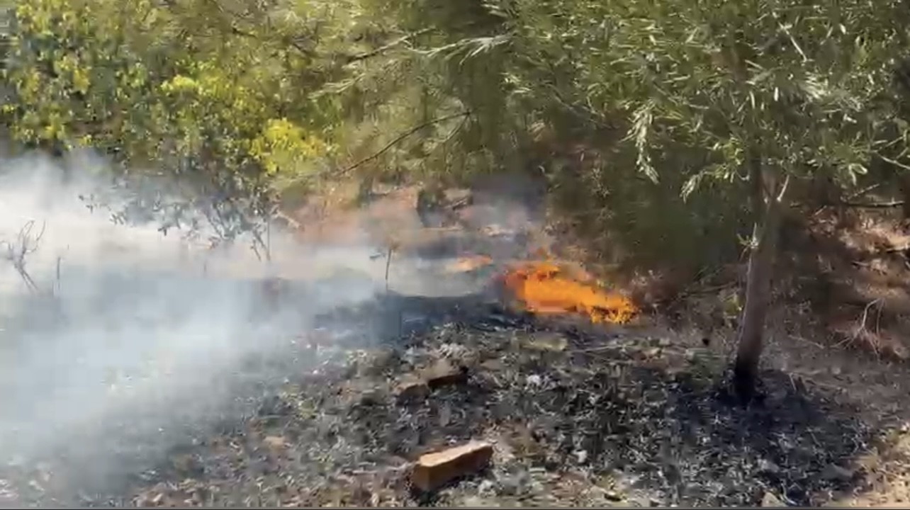 Osmaniye’de orman yangını