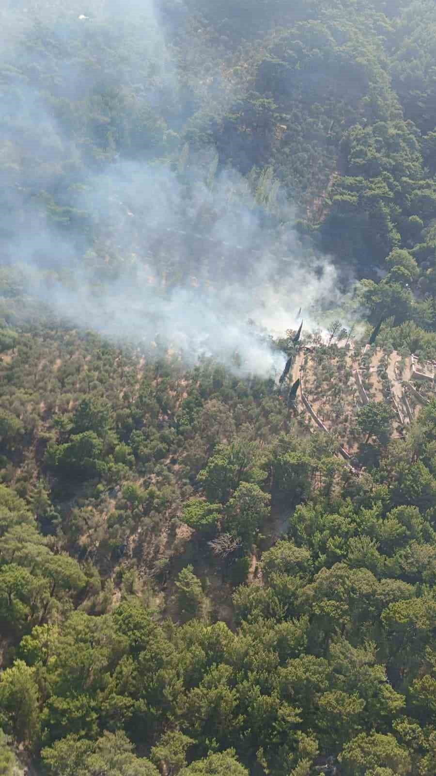 Kazdağları Milli Parkı’nda çıkan yangın kısa sürede söndürüldü
