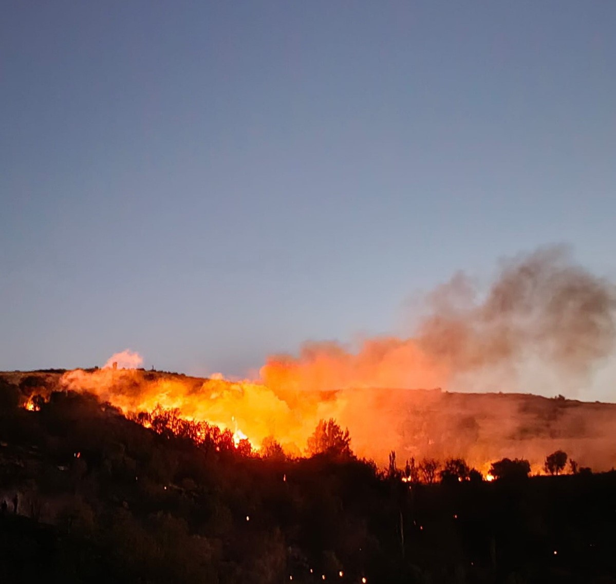 Besni&rsquo;de 4 farklı noktada yangın
