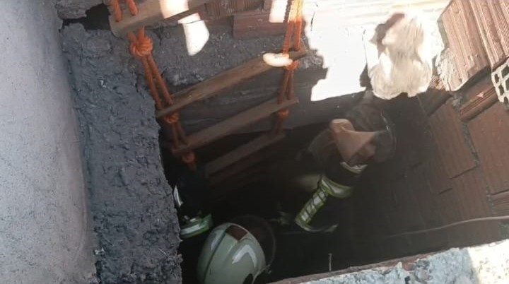 Batman Sanayi Sitesi&rsquo;nde iş yerinin hava boşluğunda mahsur kalan kedi kurtarıldı
