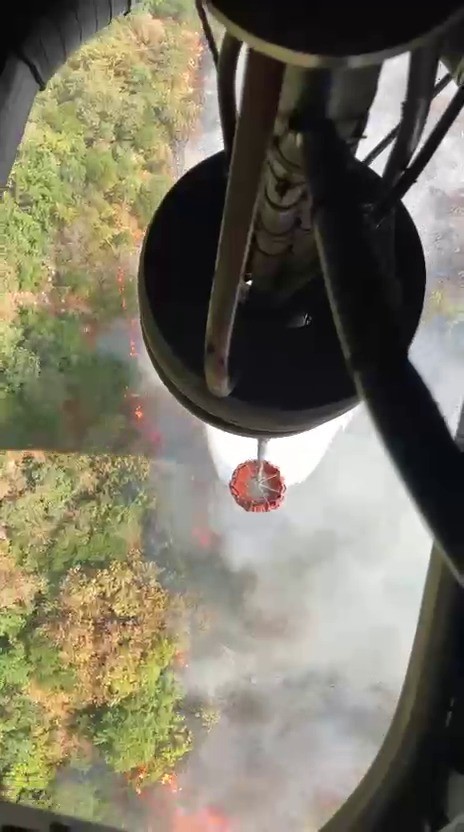 İznik’te orman yangını başladı, müdahale sürüyor