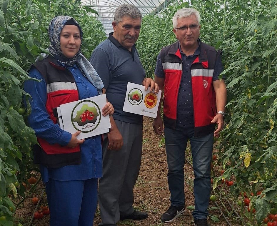 Coğrafi işaretli Simav Eynal domatesleriyle ilgili denetim &ccedil;alışması
