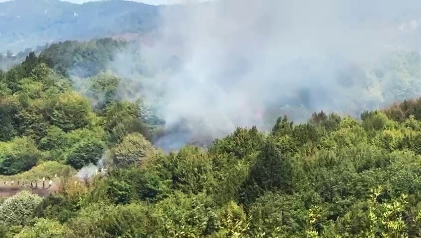 Bartın&rsquo;da orman yangını &ccedil;ıktı

