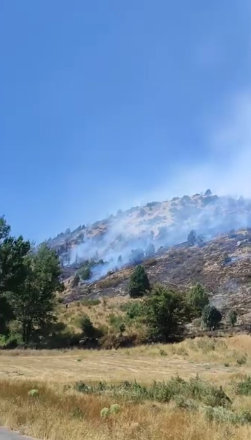 Sivas&rsquo;ta ağa&ccedil;lık alanda yangın &ccedil;ıktı, ekiplerin m&uuml;dahalesi s&uuml;r&uuml;yor

