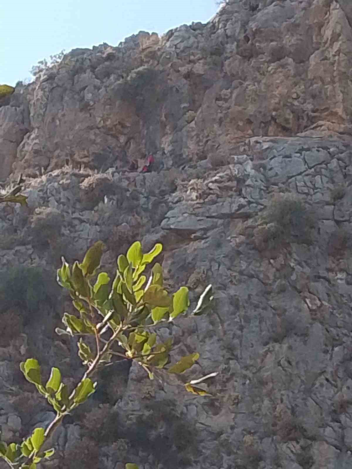 Serik&rsquo;te u&ccedil;urumda 3 g&uuml;nd&uuml;r mahsur kalan ke&ccedil;i, ekipler tarafından kurtarıldı
