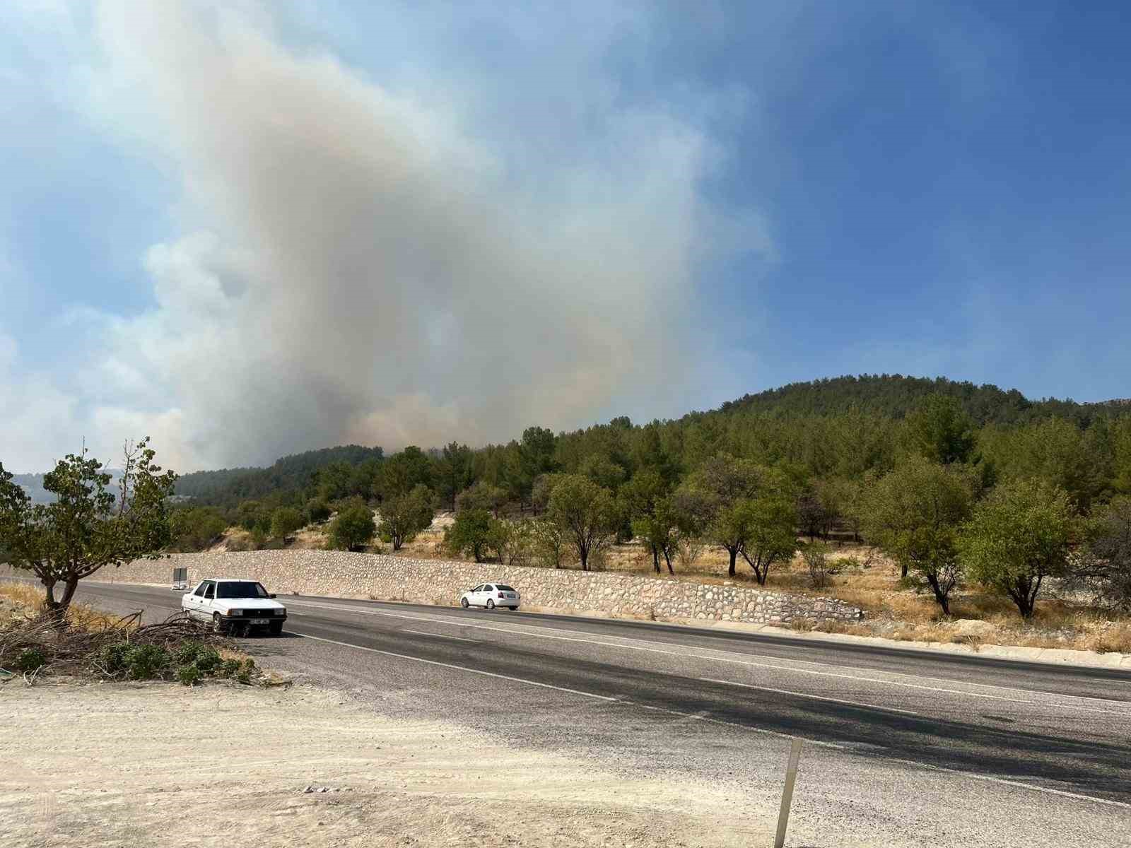 Adıyaman’da orman yangını