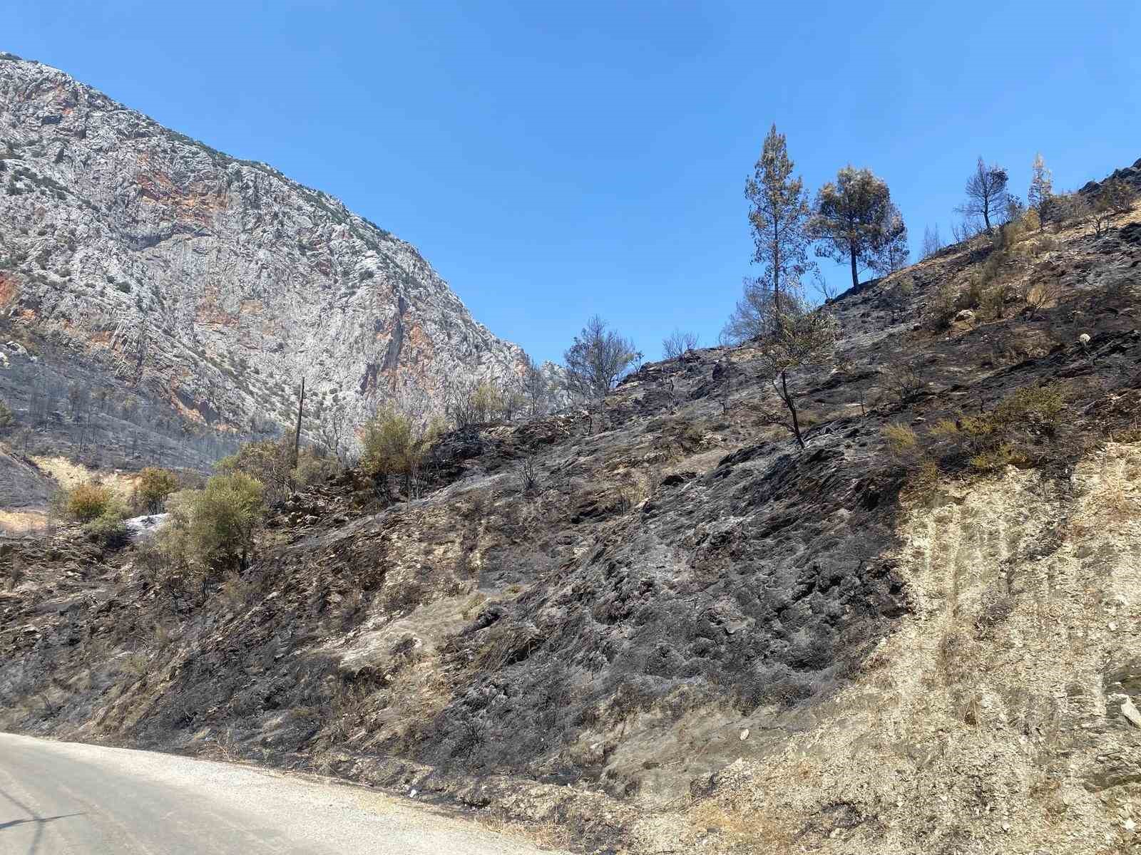 Mersin Anamur&rsquo;daki orman yangını b&uuml;y&uuml;k &ouml;l&ccedil;&uuml;de kontrol altına alındı
