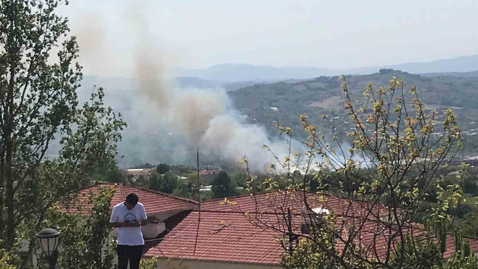 Bartın’da peş peşe yangınlar çıktı