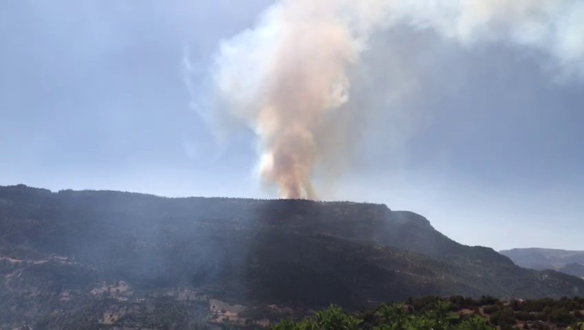 Karaman’da çıkan orman yangınına havadan ve karadan müdahale ediliyor