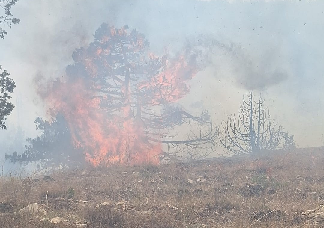 Karaman&rsquo;da &ccedil;ıkan orman yangınına havadan ve karadan m&uuml;dahale ediliyor
