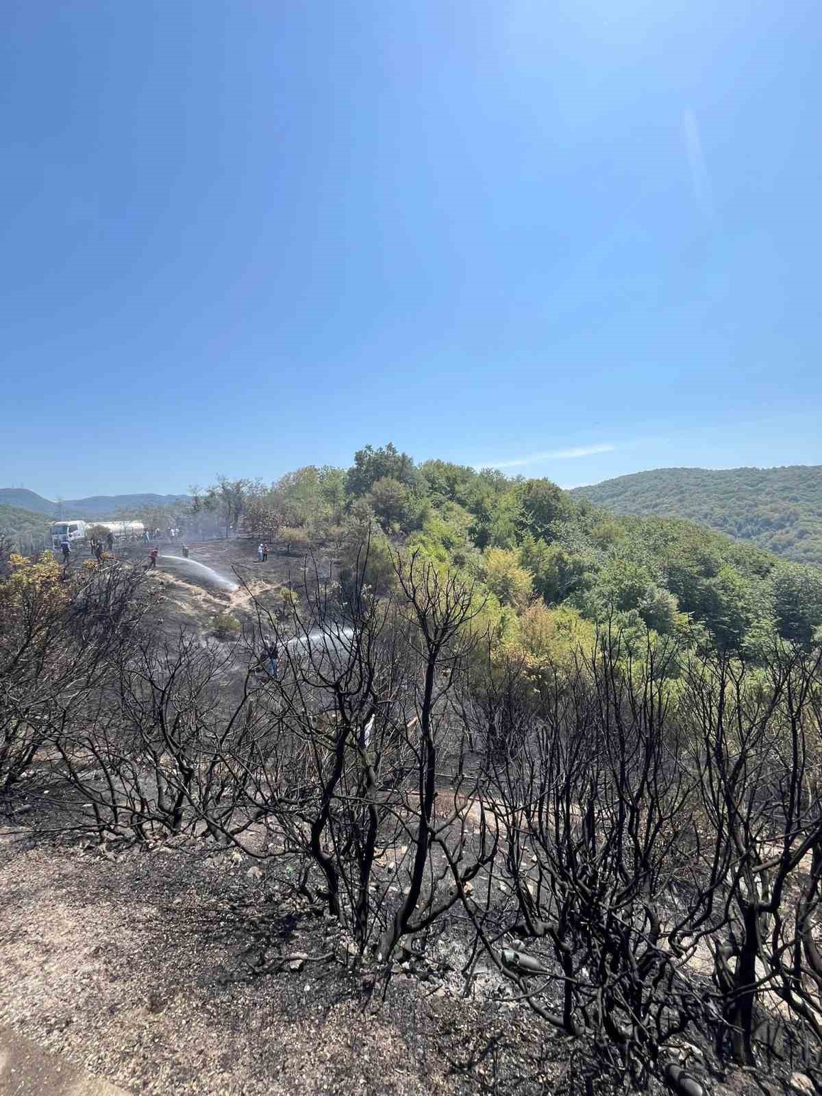 Zonguldak&rsquo;taki orman yangını kontrol altına alındı
