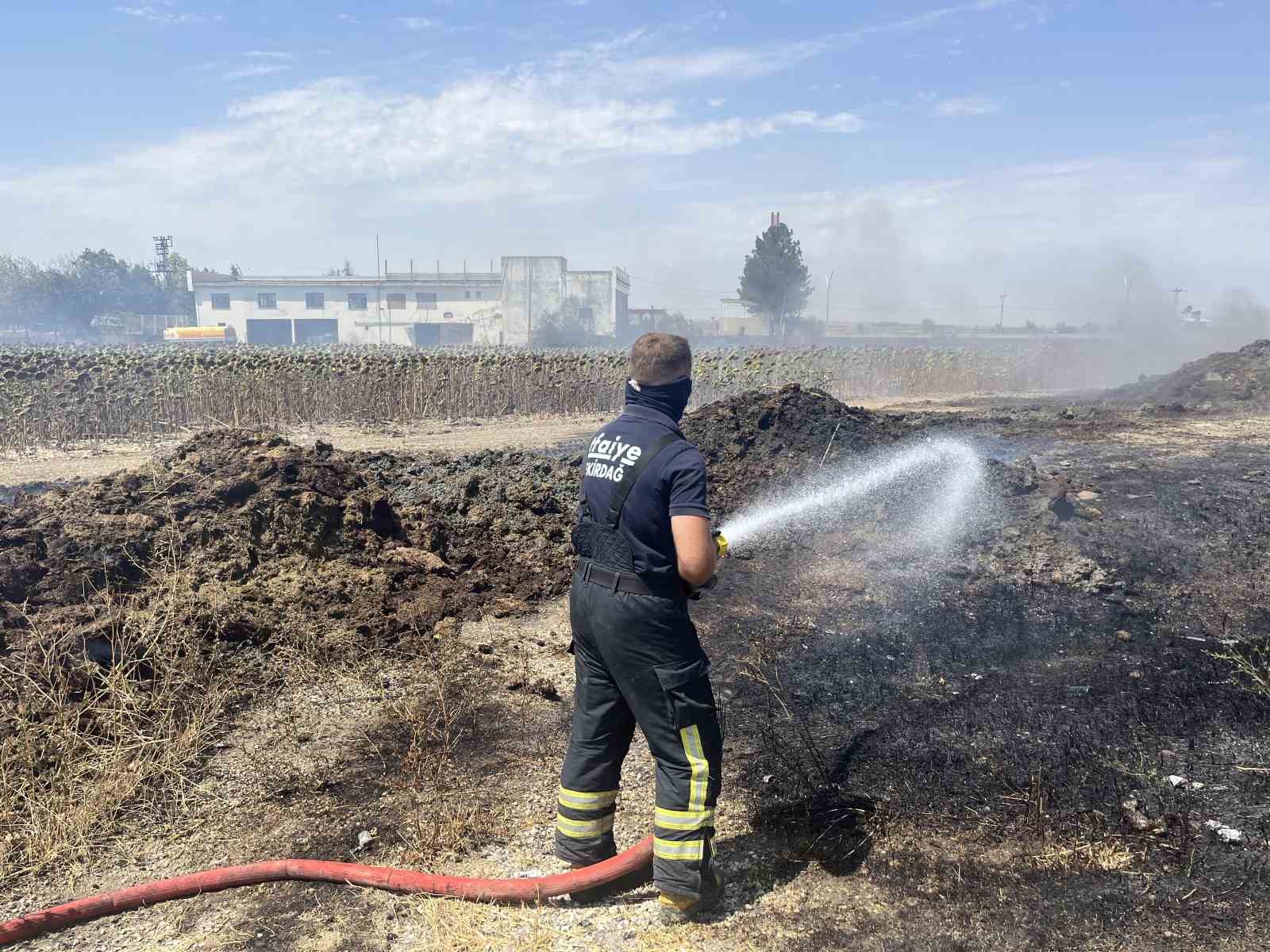 Tekirdağ&rsquo;da &ccedil;ıkan yangın korkuttu
