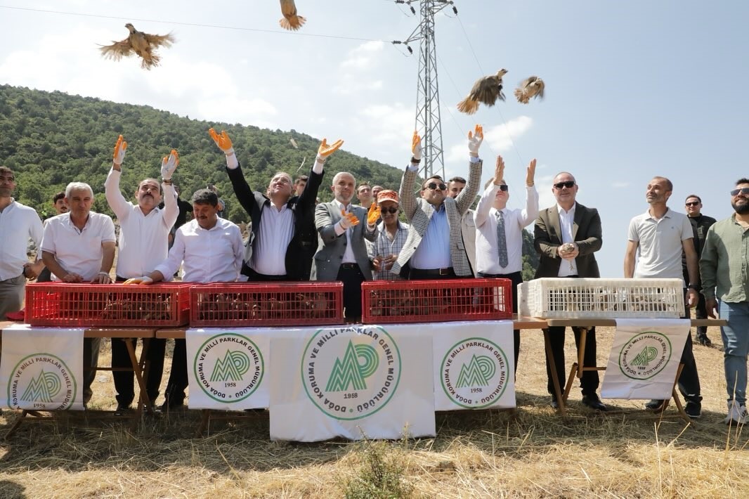 Kütahya’da 300 keklik doğaya salındı