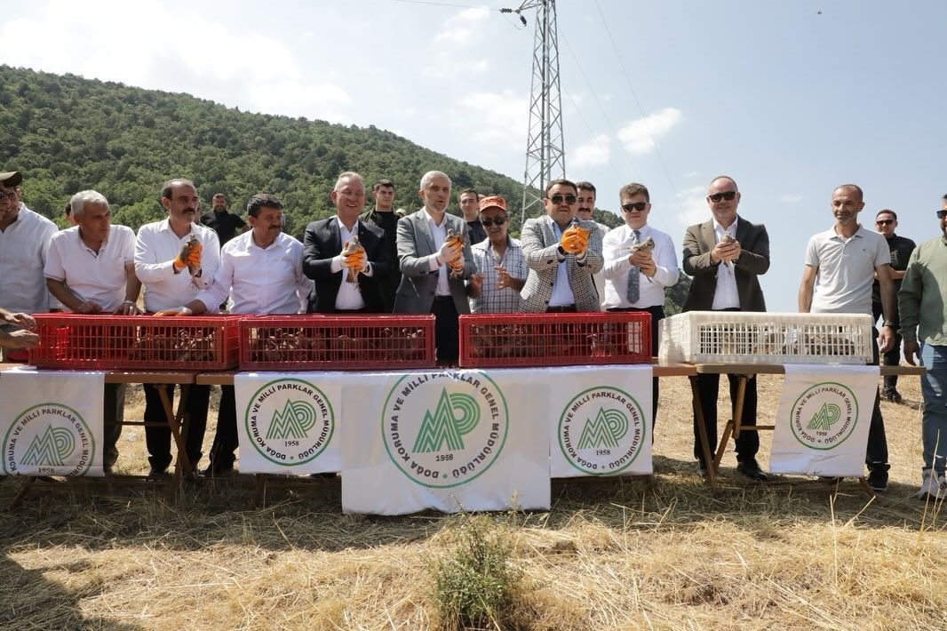 K&uuml;tahya&rsquo;da 300 keklik doğaya salındı
