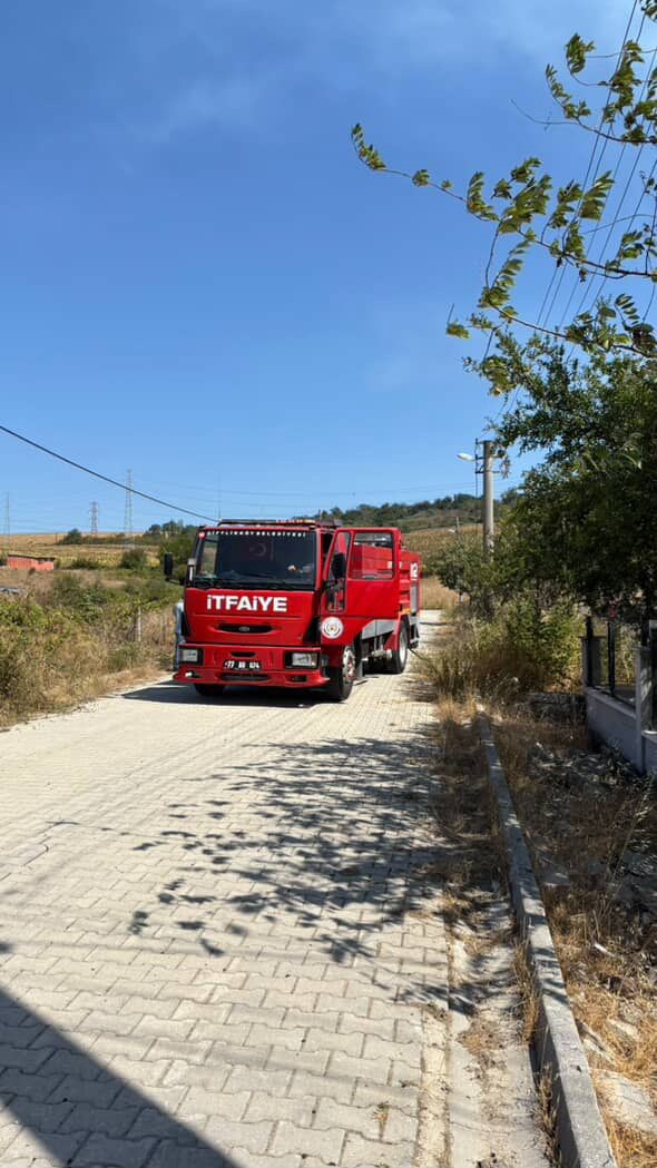 Yalova’da büyükbaş hayvanlar alevlerden son anda kurtarıldı