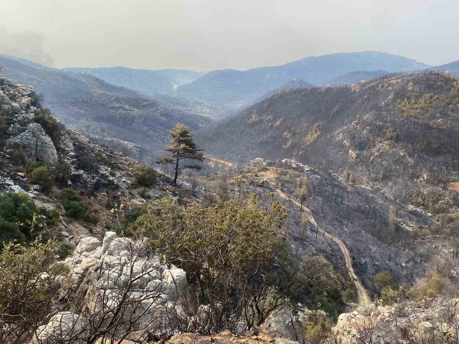 Mersin Valiliği: " Yangınlar kontrol altına alınmış, soğutma &ccedil;alışmaları devam etmektedir"
