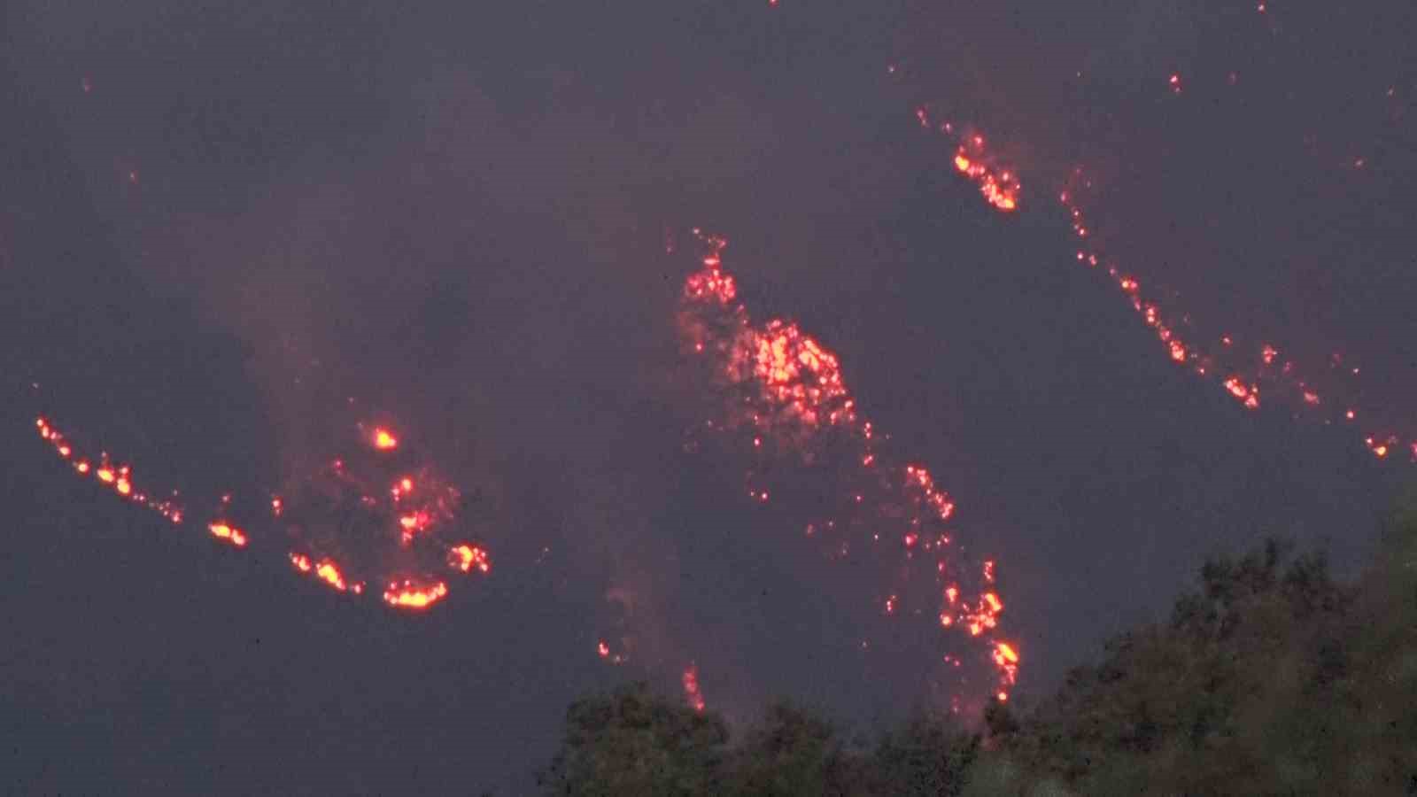 Kocaeli’deki orman yangını 8,5 saattir sürüyor: Rüzgar müdahaleyi güçleştiriyor