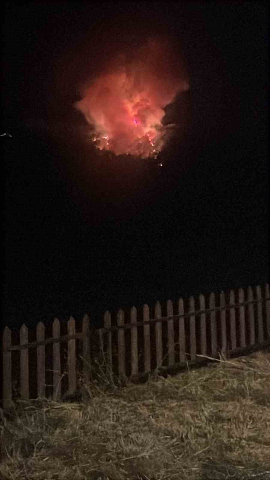 &Ccedil;anakkale&rsquo;de orman yangını
