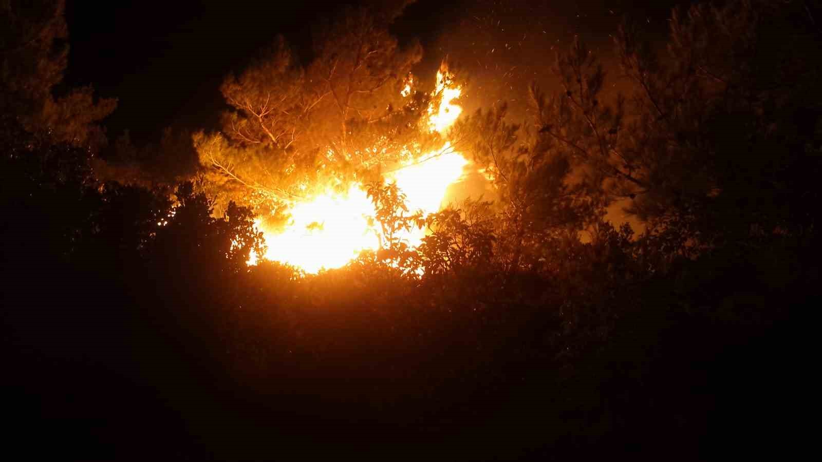 İzmir&rsquo;de makilik ve ormanlık alanda yangın
