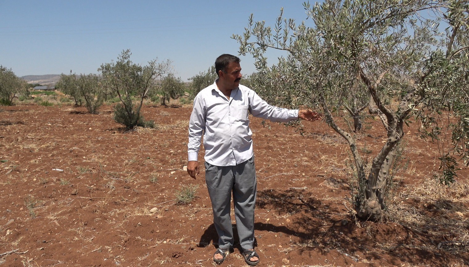 Yavuzlu köyünde tarım arazileri susuz kaldı