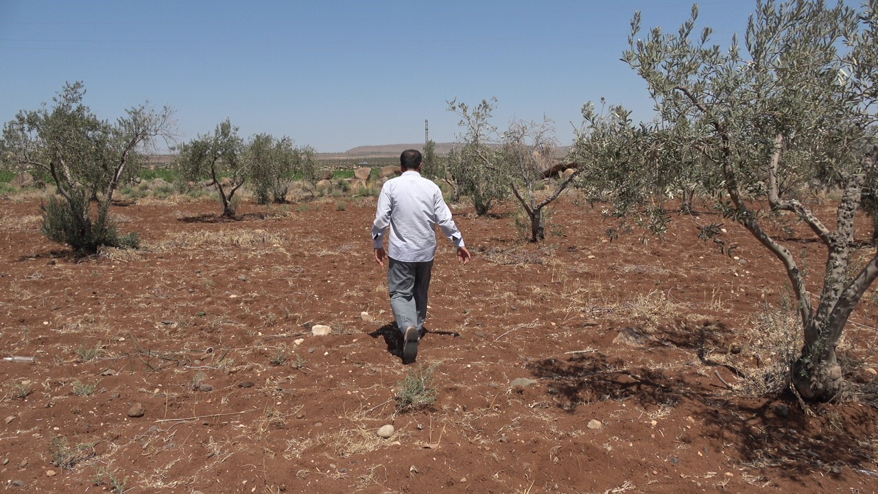 Yavuzlu köyünde tarım arazileri susuz kaldı