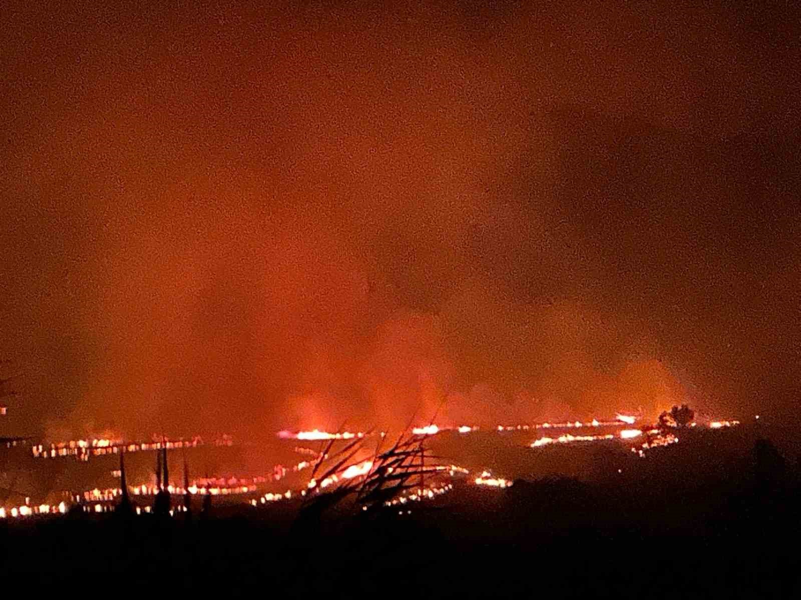 Diyarbakır’ın 2 ilçesinde çıkan yangın söndürüldü