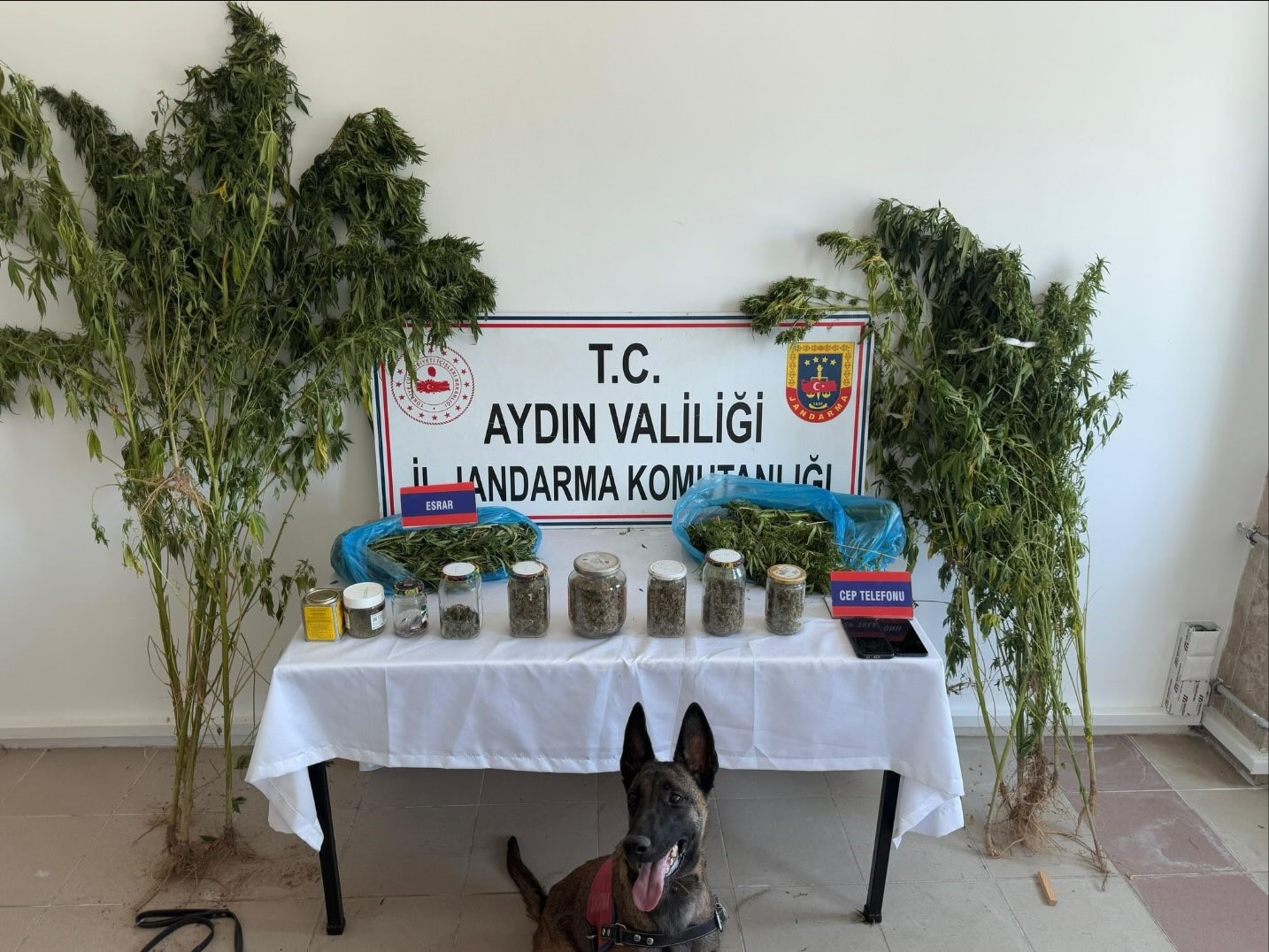 Uyuşturucu taciri jandarmadan kaçamadı