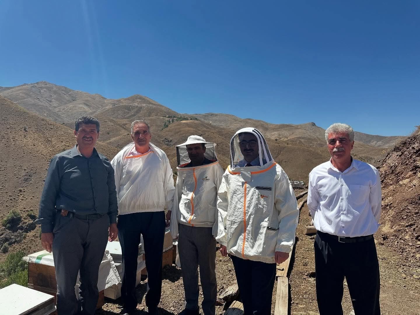 Sincik’te bal hasadı başladı