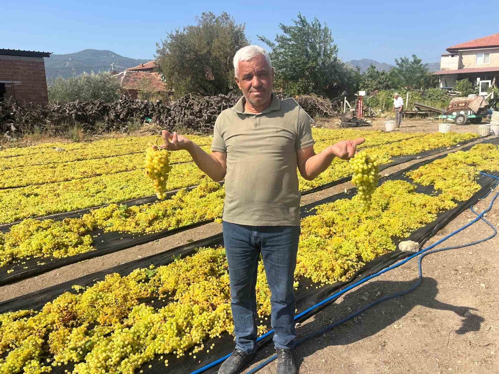 &Uuml;z&uuml;mde fiyat belirsizliği hem &uuml;reticiyi hem de &ccedil;alışanları tedirgin ediyor
