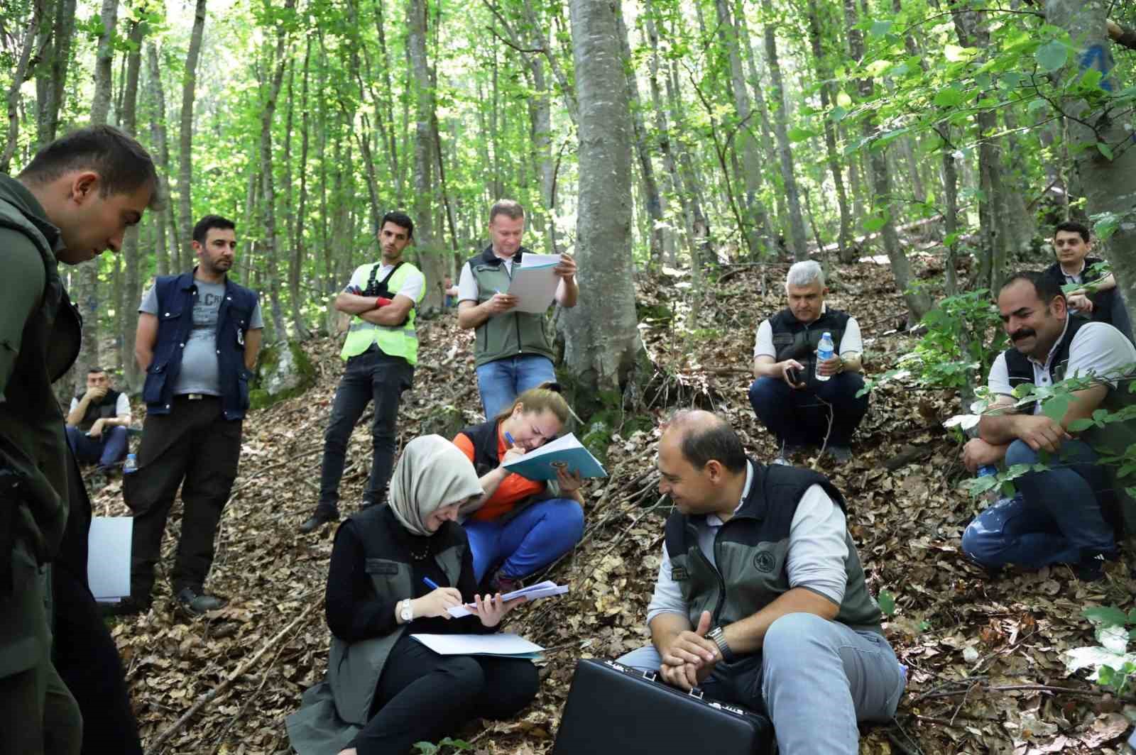 Samsun ormanlarına 426 milyonluk yatırım
