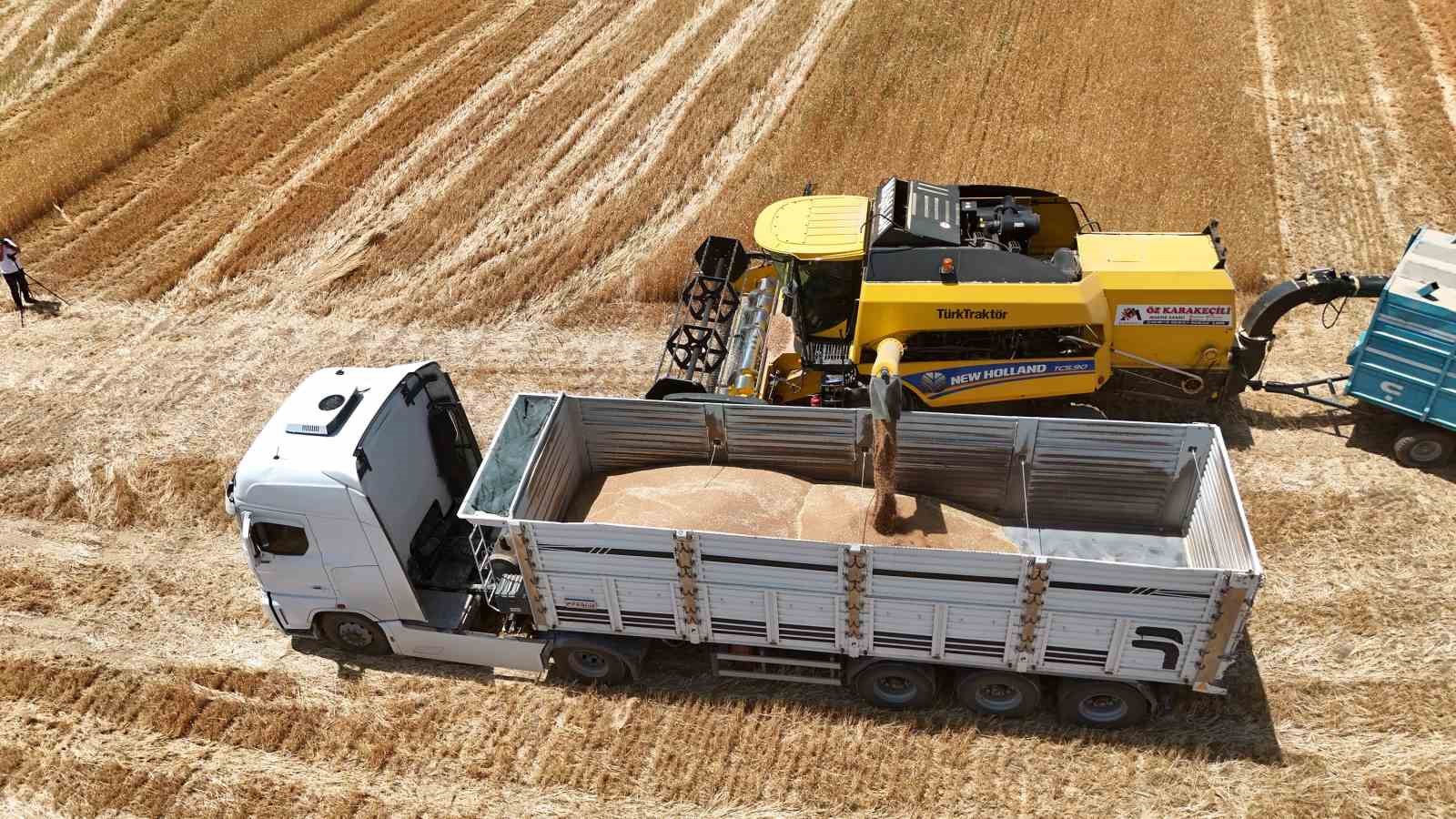 Çiftçinin emeği ürüne dönüştü, hasat mesaisi başladı