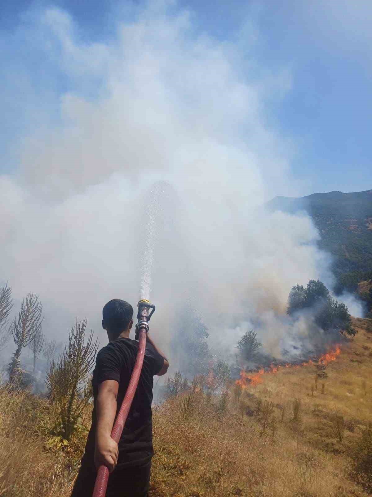Bingöl’de kırsal alanda çıkan yangın söndürüldü