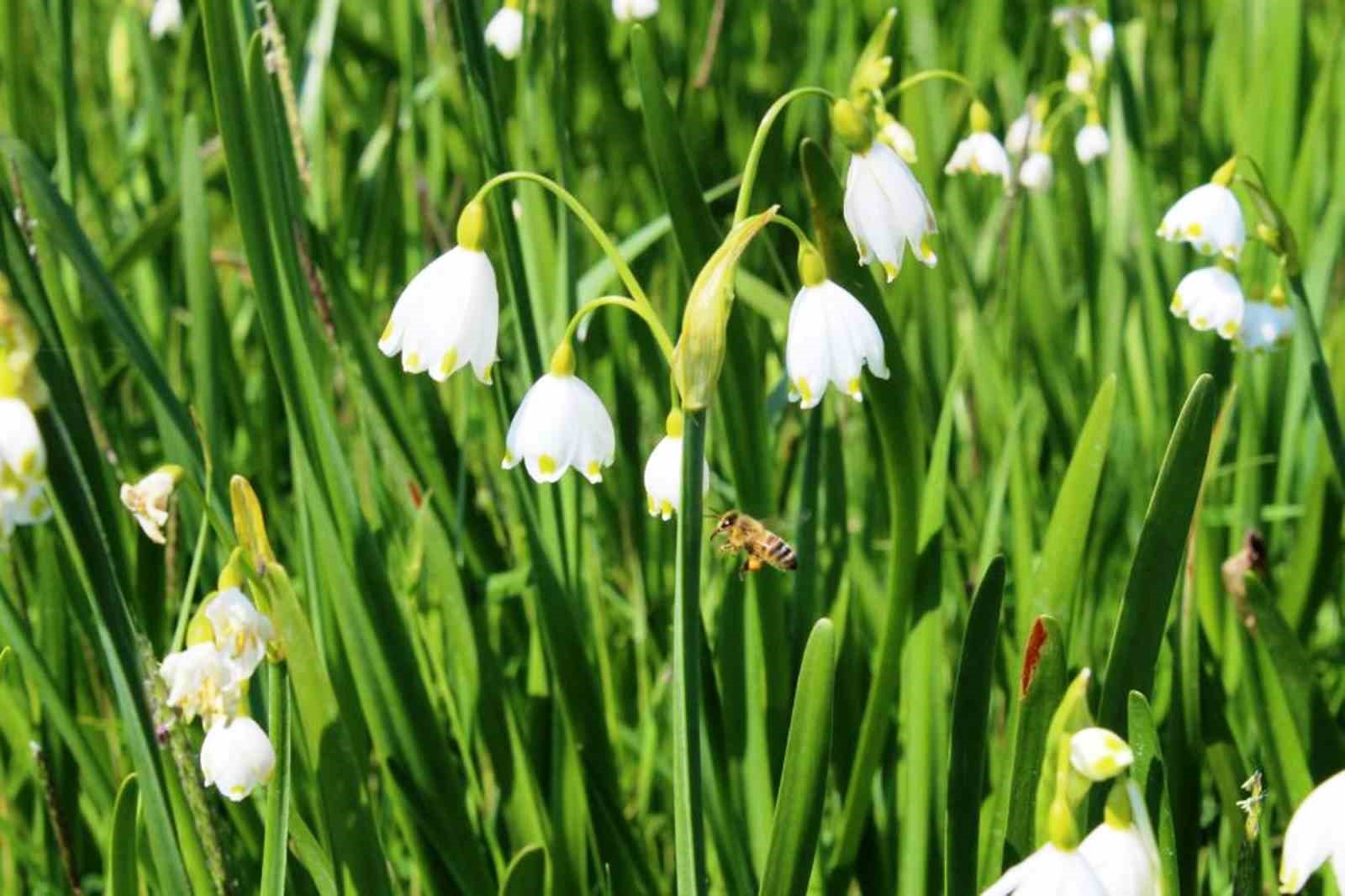 Çevre Kanunu’na uymayan 16 kişiye 4,6 milyon TL ceza