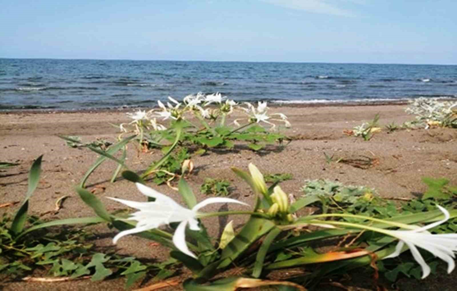 &Ccedil;evre Kanunu&rsquo;na uymayan 16 kişiye 4,6 milyon TL ceza
