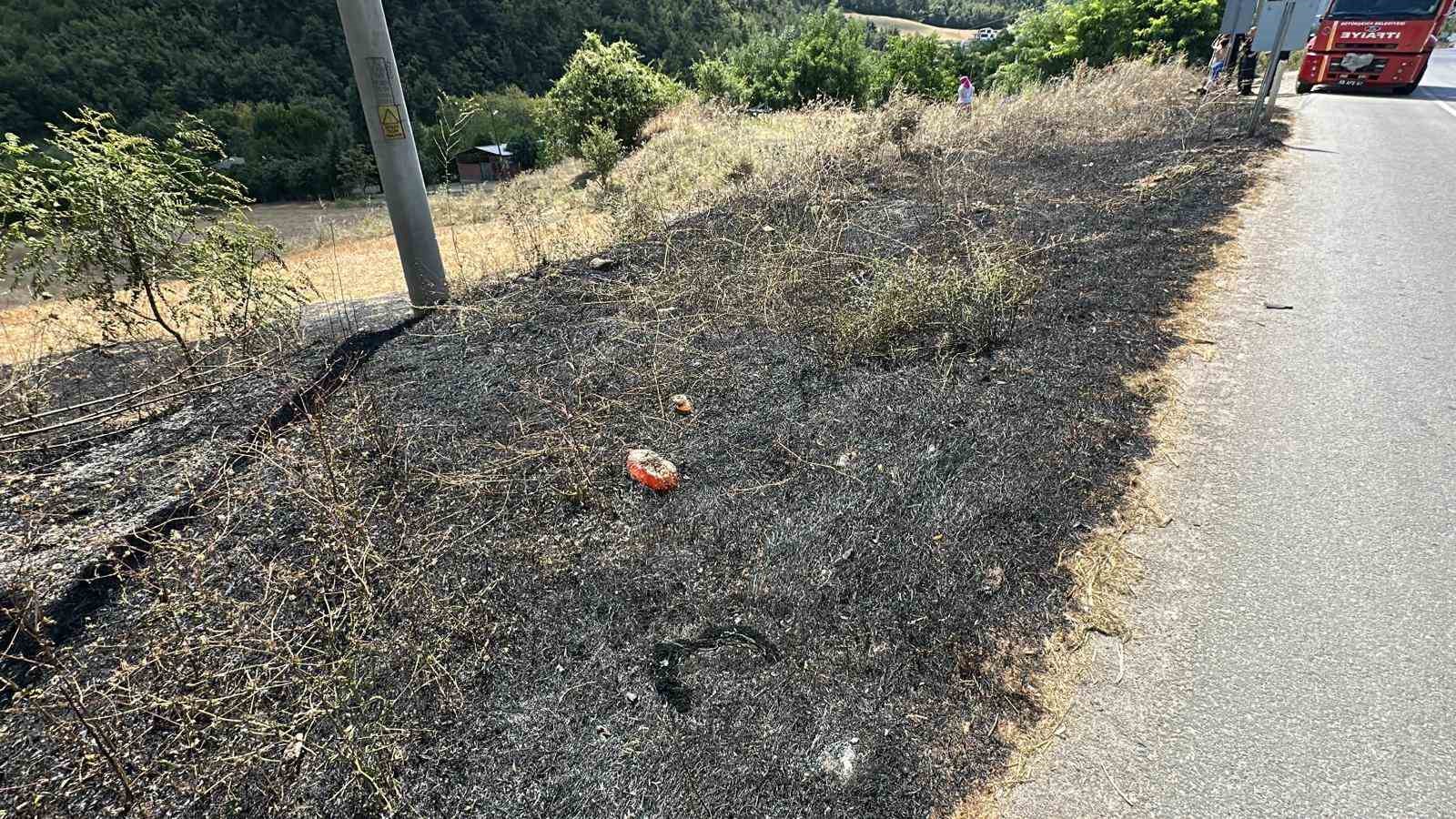 &Ccedil;alılık alandaki yangın ormana sı&ccedil;ramadan s&ouml;nd&uuml;r&uuml;ld&uuml;
