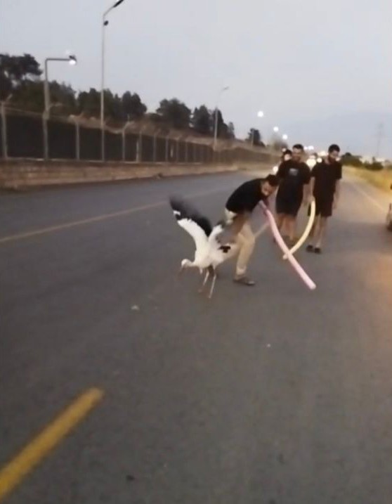 Yaralı leylek duyarlı vatandaşlarca kurtarıldı