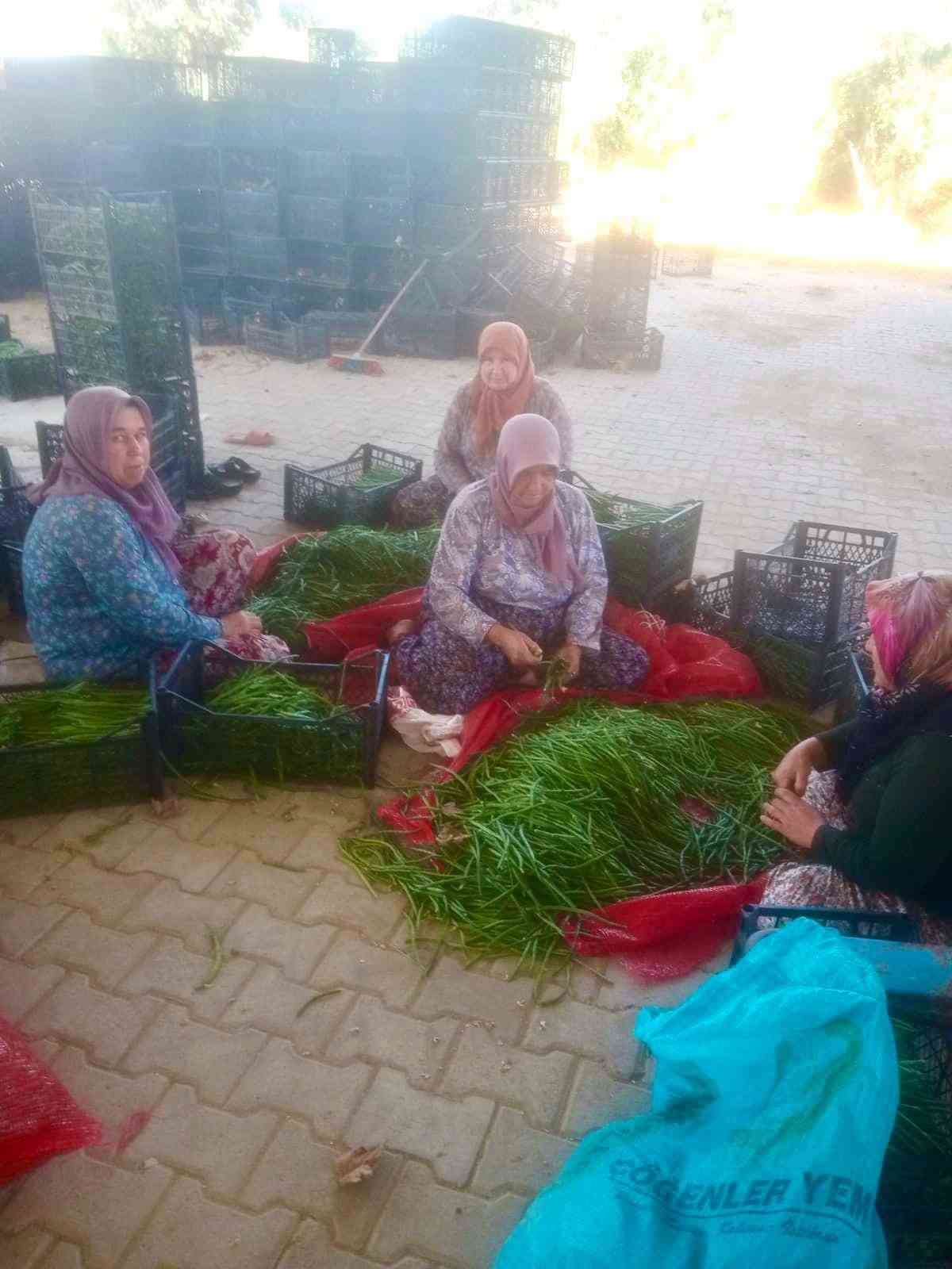 Su sorunu &ccedil;ift&ccedil;ileri alternatif &uuml;r&uuml;ne y&ouml;neltti
