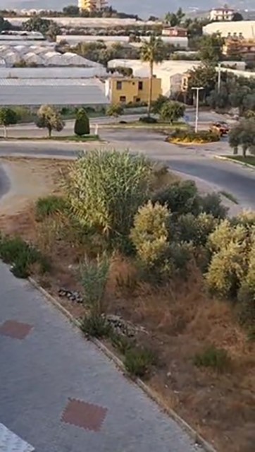 Alanya&rsquo;da drift yapan s&uuml;r&uuml;c&uuml;lere 166 bin TL ceza
