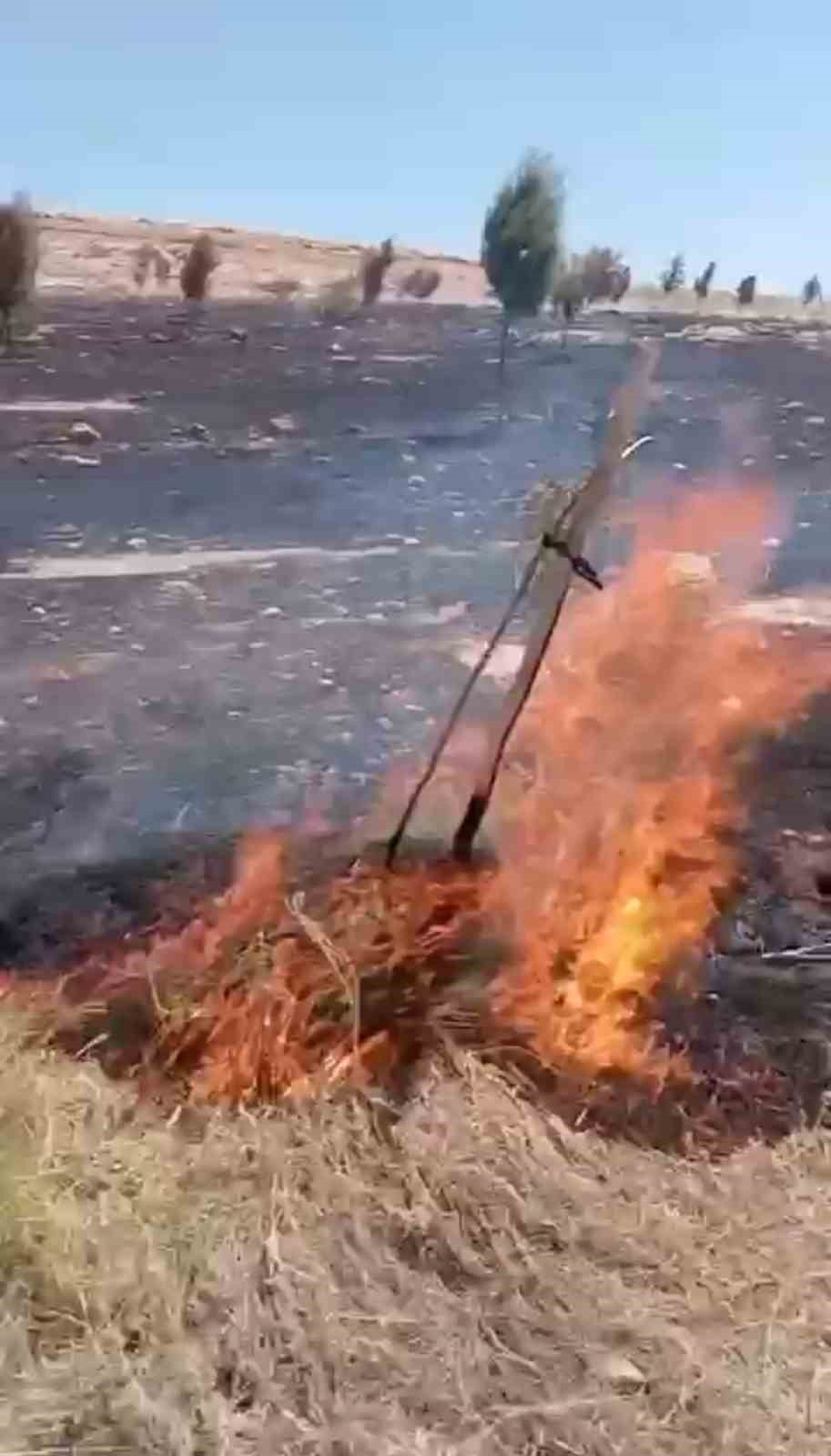 Mardin’de çıkan ot yangını söndürüldü
