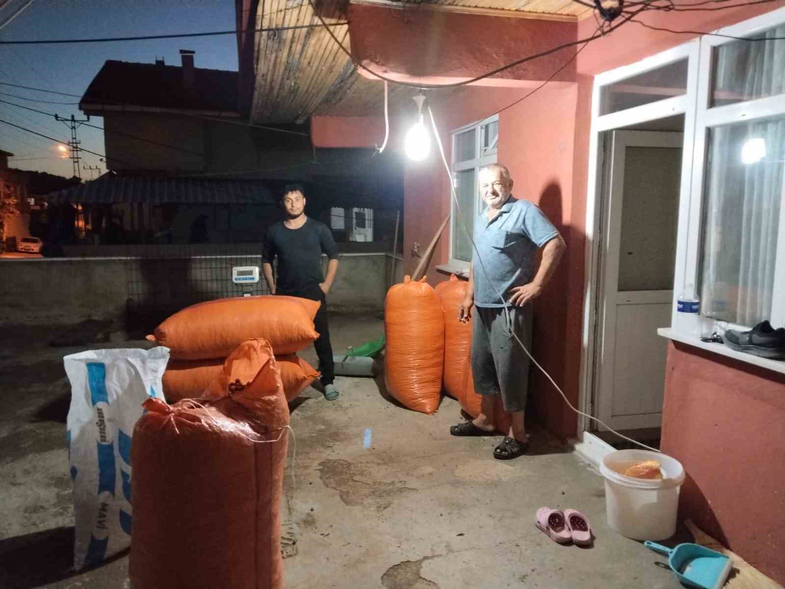 Alaplı&rsquo;da hasat edilen fındıklar satışa &ccedil;ıktı
